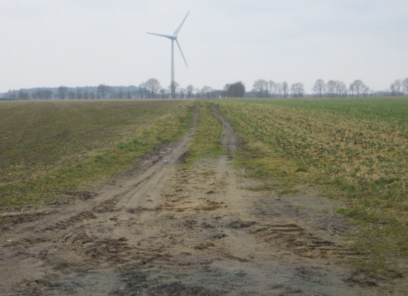 Lamstedt_Claus-Spreckels-Straße_Real