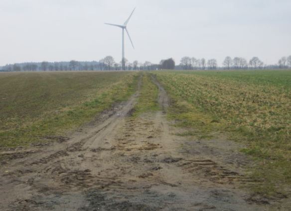 Lamstedt_Claus-Spreckels-Straße_Real