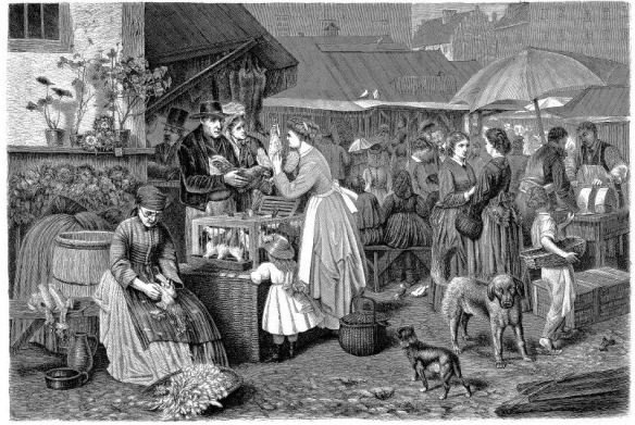 01_Über Land und Meer_029_1873_p0224