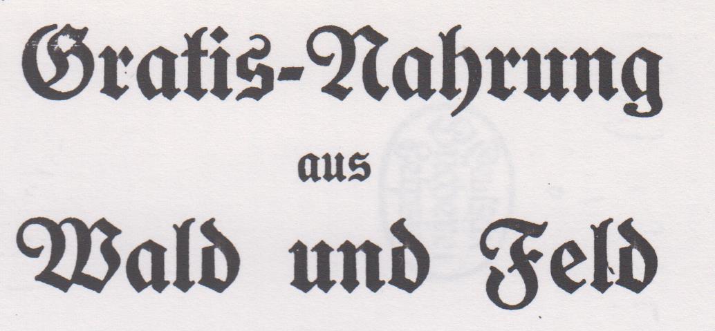 07_Stätter_1919_pI_Kriegskochbuch_Wildfrüchte