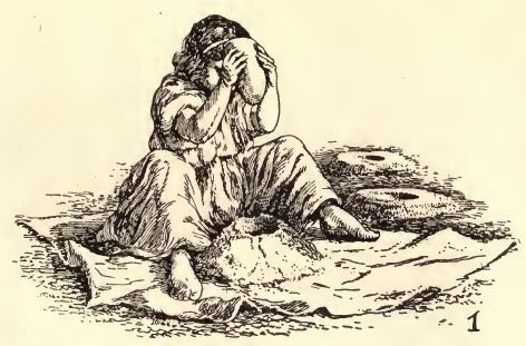 08_Krause_1921_Tafel12_Eichelbrot_Indianer_Kalifornien