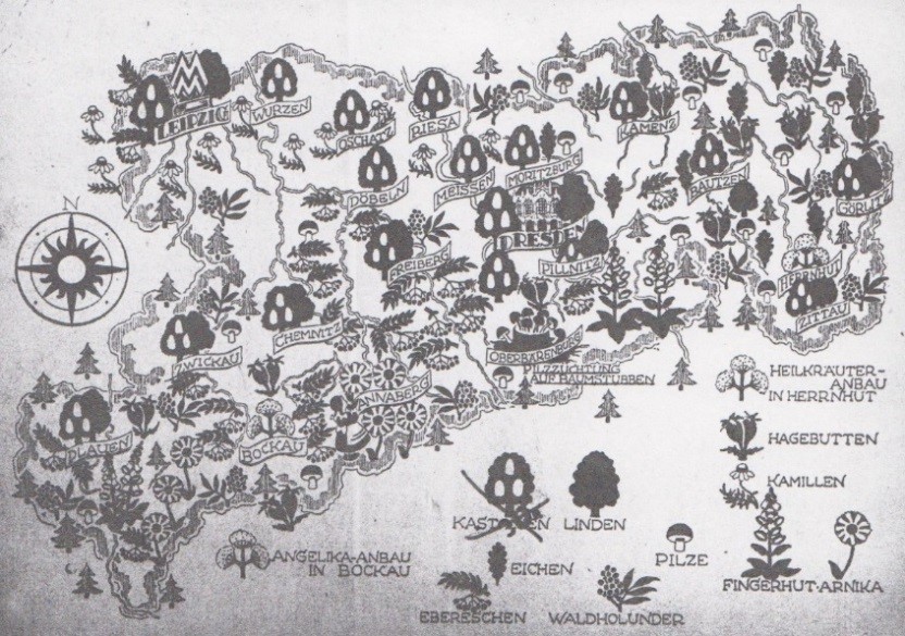 14_Nahrung und Natur_03_1949_H3-4_pI_Wildfrüchte_Eichen_SBZ_Karte