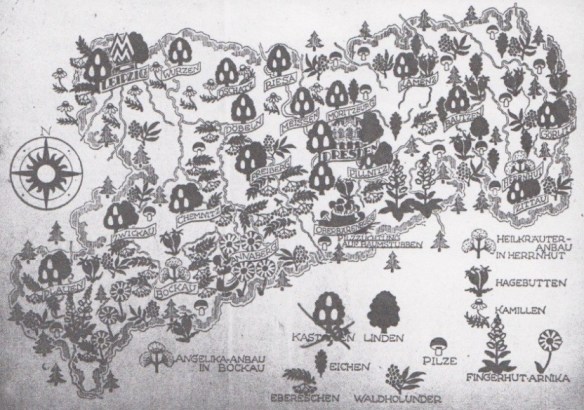 14_Nahrung und Natur_03_1949_H3-4_pI_Wildfrüchte_Eichen_SBZ_Karte