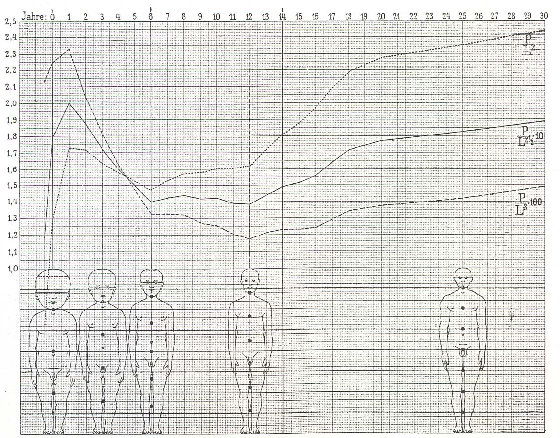 07_Zeitschrift für Kinderheilkunde_29_1921_p221_Normwerte und Körperindizes