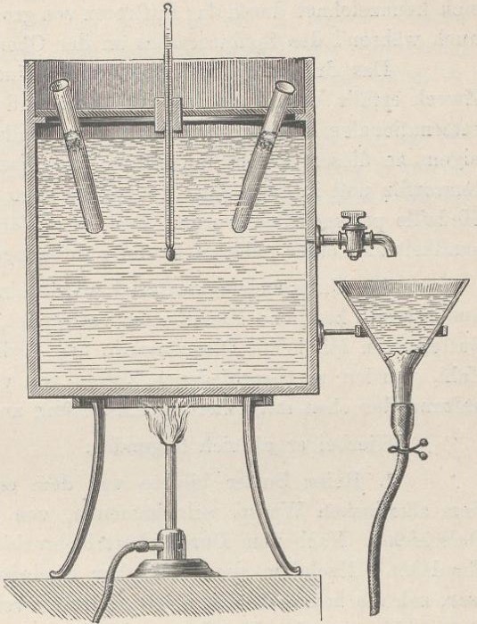 16_Sell_1886_p543_Nahrungsmitteluntersuchung_Mayer_Butter_Margarine