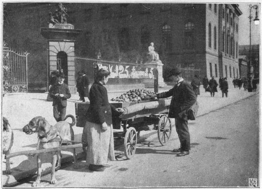 01_Berliner Leben_10_1907_Nr01_p10_Straßenhandel_Südfrüchte_Apfelsinen_Käufer-Verkäufer_Hundefuhrwerk