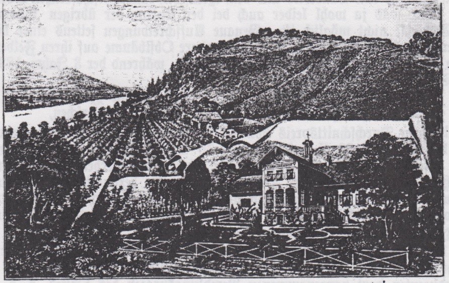 04_Der Obstzüchter_01_1903_p102_Österreich_Gemüsebau_Karolinenhof_Produktionsstätten