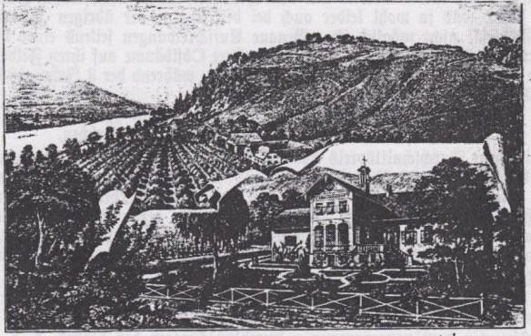 04_Der Obstzüchter_01_1903_p102_Österreich_Gemüsebau_Karolinenhof_Produktionsstätten