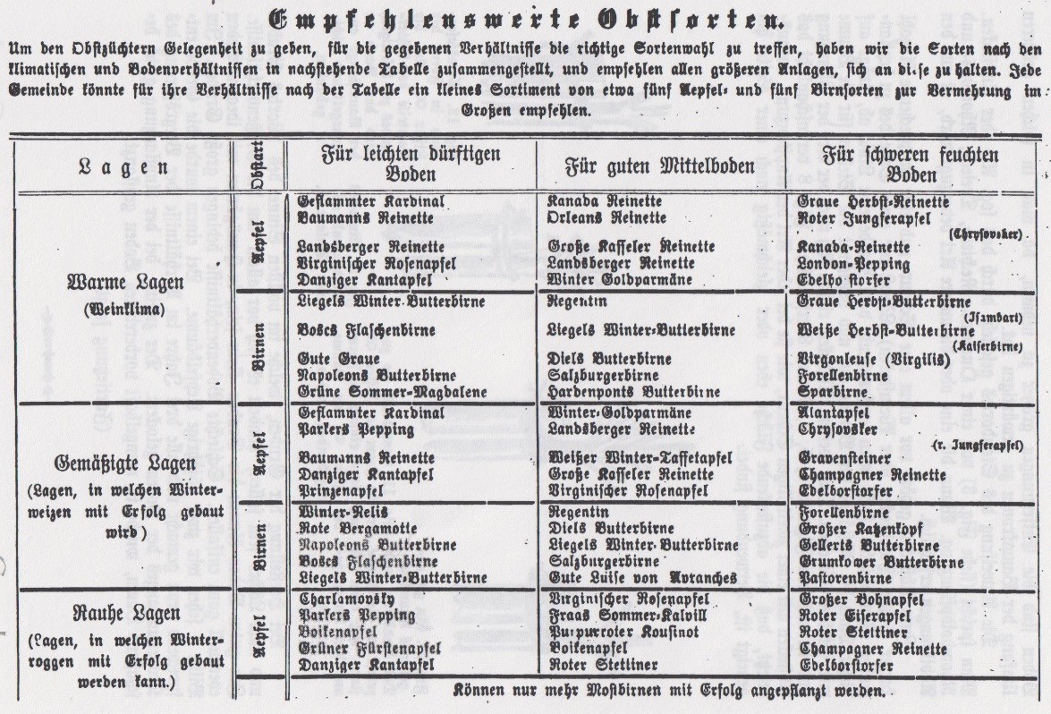 05_Der Obstzüchter_01_1903_p016_Obst_Obstbau_Standardisierung_Obstsorten