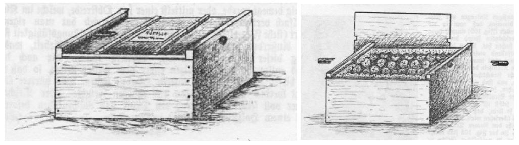 08_Der Obstzüchter_02_1904_p125_Obst_Verpackung_Standardisierung_Versandgeschäft