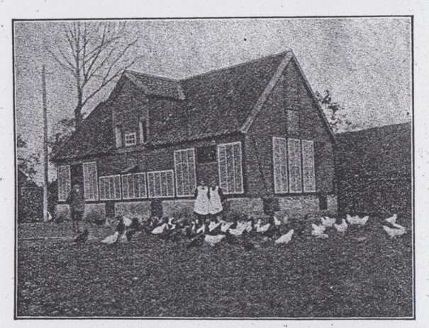 06_Hannoversche Land- und Forstwirtschaftliche Zeitung_83_1930_p155_Eier_Geflügel_Hühnerfarm_Scharnebeck