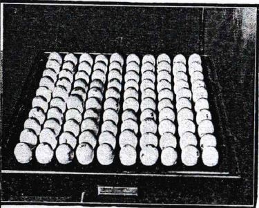 14_Landfrau_1929_Nr18_p4_Frische_Qualitätssicherung_Durchleuchtungstisch_Eier_Coppenbrügge