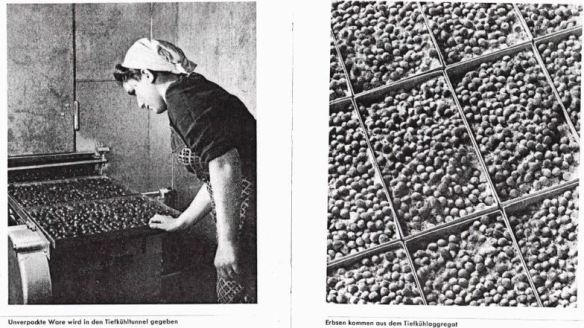 18_Mosolff_Hg_1940_p18-19_Tiefkühlen_Gefriertechnik_Erbsen