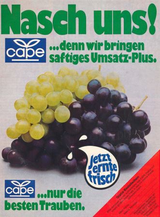 30_Der Verbraucher_29_1975_Nr06_p07_Obst_Trauben_Cape_Erntefrisch