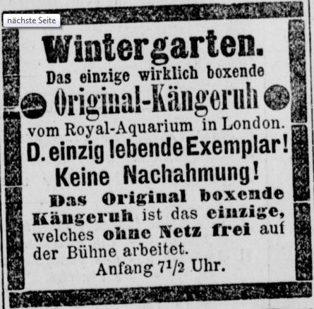 081_Berliner Börsen-Zeitung_1893_03_22_Nr137_p20_Unterhaltungsindustrie_Wintergarten_Boxen_Känguru