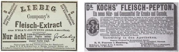 02_Kladderdatsch_31_1878_Nr23-24_Beibl2_p2_Fliegende Blaetter_82_1885_Nr2071_Beibl_p8_Fleischextrakt_Fleischpepton