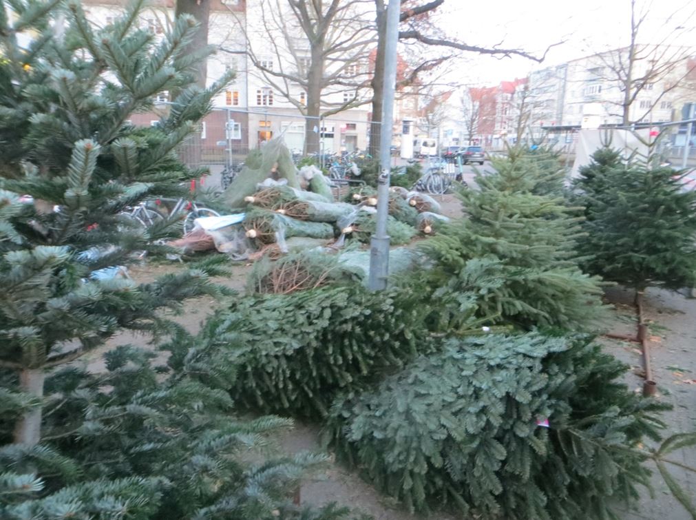 17_Uwe Spiekermann_Weihnachten_Weihnachtsbäume