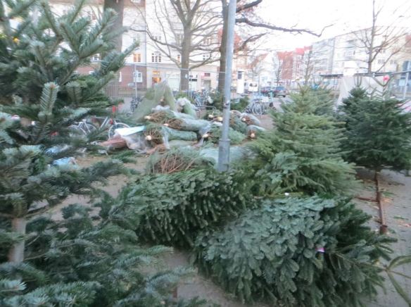 17_Uwe Spiekermann_Weihnachten_Weihnachtsbäume