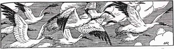 26_Frauen-Genossenschaftsblatt_06_1906_p069_Voegel_Stoerche