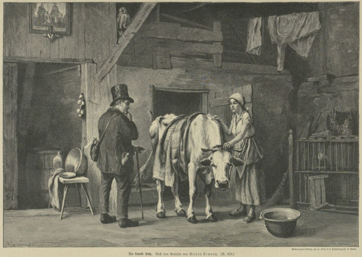 03_Illustrirte Welt_43_1895-96_p417_Bauernhof_Bauern_Rindvieh_Kuh_Tierkrankheit