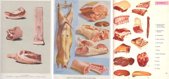 22_Gehren_1905_p496_Kochen_1941_np064_Schulkochbuch_1963_p107_Fleisch_Schweinefleisch_Fett_Innereien_Magerschweine