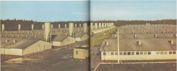 23_Mothes_1976_p84-85_Fleischindustrie_Schweinemast_DDR