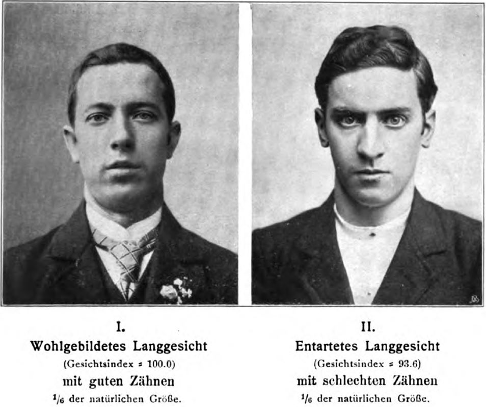 13_Archiv für Rassen- und Gesellschafts-Biologie_3_1906_p131_Rassenkunde_Schaedel