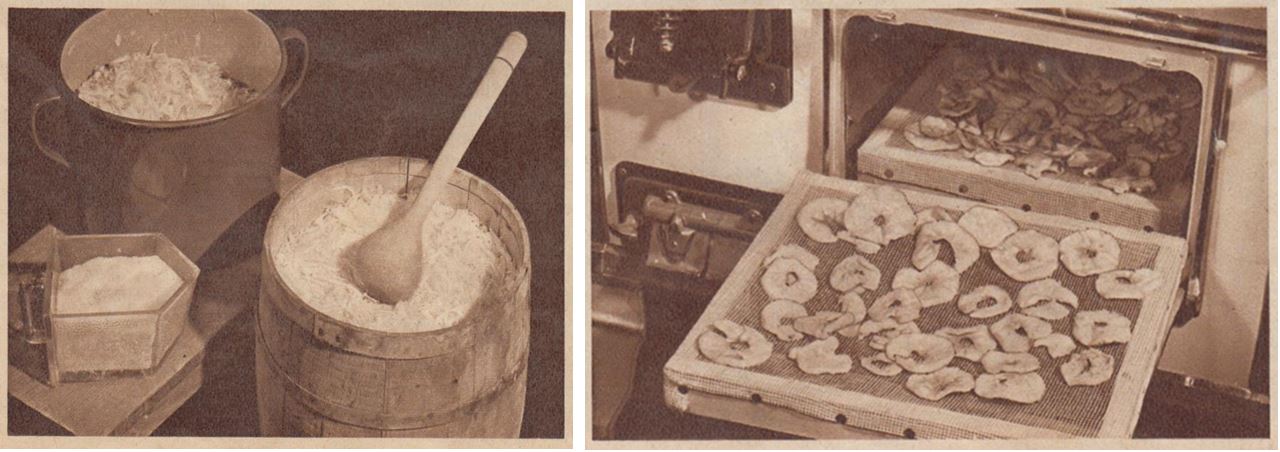 29_Einmachen_1935_p13_Haushaltskonservierung_Gärung_Trocknen_Obst_Sauerkraut