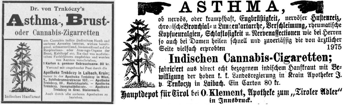 22_Fremden-Blatt_1899_03_25_Nr24_p10_Innsbrucker Nachrichten_1881_06_20_Nr137_p2128_Asthma_Medizinalzigaretten_Trnkoczy_Cannabis_Laibach