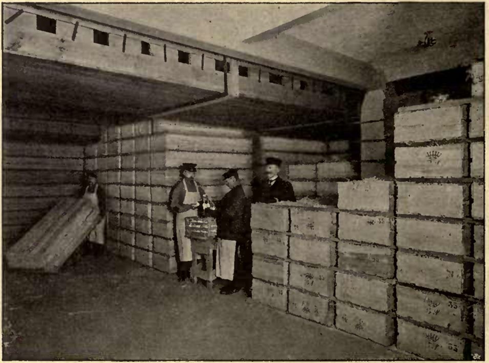 04_Refrigeration_1913_p082_Kuehlhaus_Eier_Berlin_Gesellschaft für Markt- und Kuehlhallen