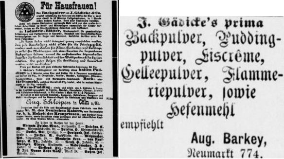 25_Echo der Gegenwart_1880_02_25_Nr055_p4_Backpulver_F-Gaedicke_Puddingpulver_Niederlagen