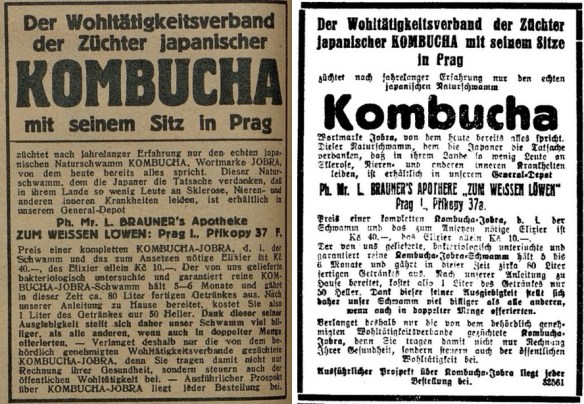 07_Frauenfreude - Maedchenglueck_1928_Nr113_p18_Prager Tagblatt_1928_02_25_Nr048_p15_Kombucha_Jobra_Teepilz_Prag
