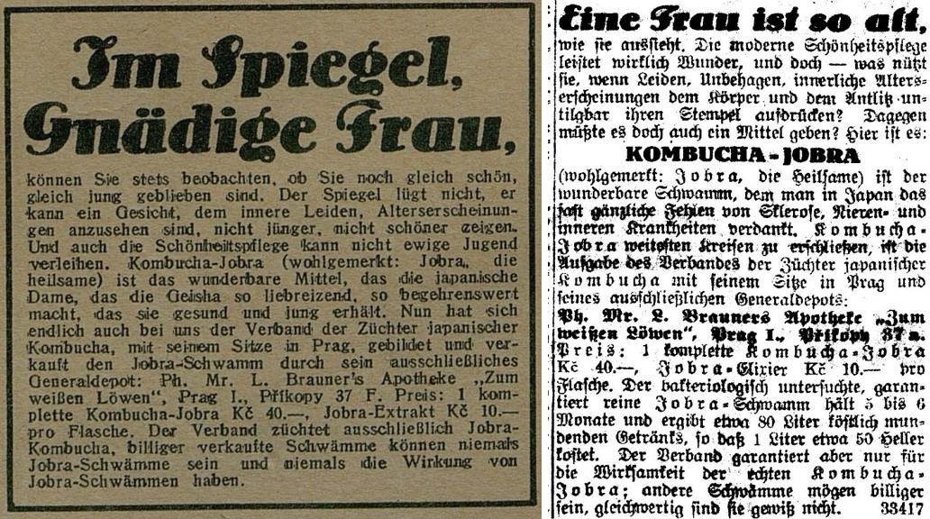 08_Frauenfreude - Maedchenglueck_1928_Nr121_p17_Prager Tagblatt_1928_03_03_Nr054_p13_Kombucha_Jobra_Teepilz_Prag