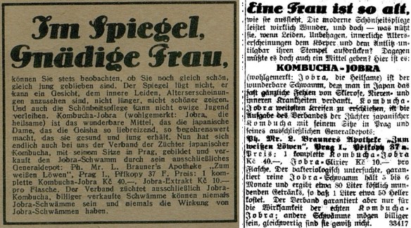 08_Frauenfreude - Maedchenglueck_1928_Nr121_p17_Prager Tagblatt_1928_03_03_Nr054_p13_Kombucha_Jobra_Teepilz_Prag