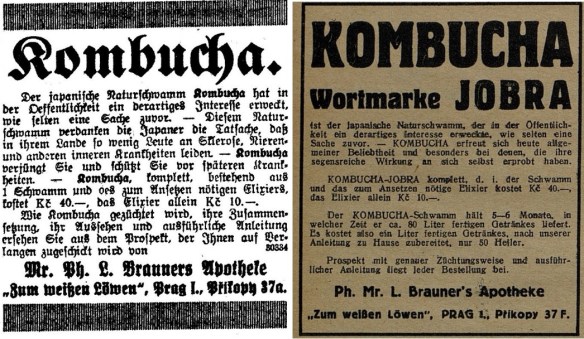 09_Prager Tagblatt_1928_01_08_Nr007_p09_Frauenfreude - Maedchenglueck_1928_Nr104_p15_Kombucha_Jobra_Prag_Japan