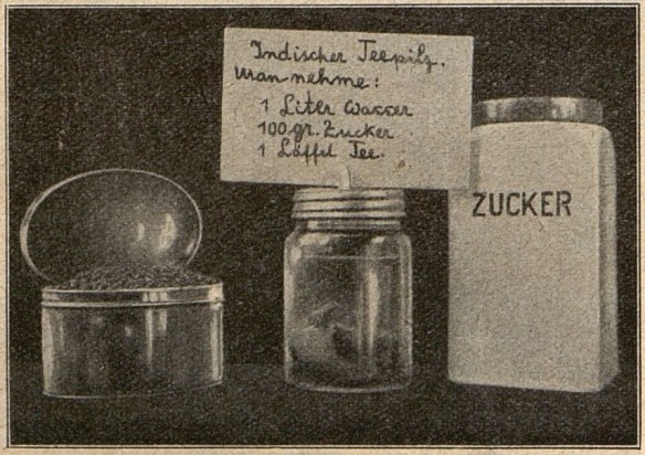 13_Ullsteins Blatt der Hausfrau_44_1928-29_H23_p812_Kombucha_Teepilz_Tee