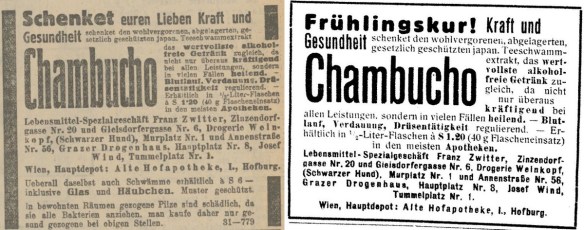 16_Grazer Tagblatt_1929_12_15_Nr577_p19_Oesterreichs Frauenzeitung_1930_Nr28_p8_Kombucha_Chambucho_Fruehlingskur