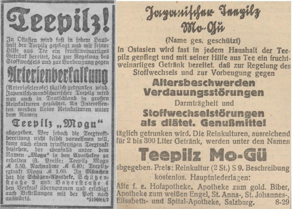 19_Muenchner Neueste Nachrichten_1928_10_03_Nr270_p14_Salzburger Chronik_1929_09_21_Nr218_p10_Kombucha_Teepilz_Mo-Gu_Getraenke_Heilmittel