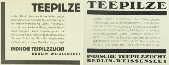 23_Die neue Buecherschau_07_1929_H05_sp_Ebd_H06_sp_Kombucha_Teepilz_Kara_Berlin