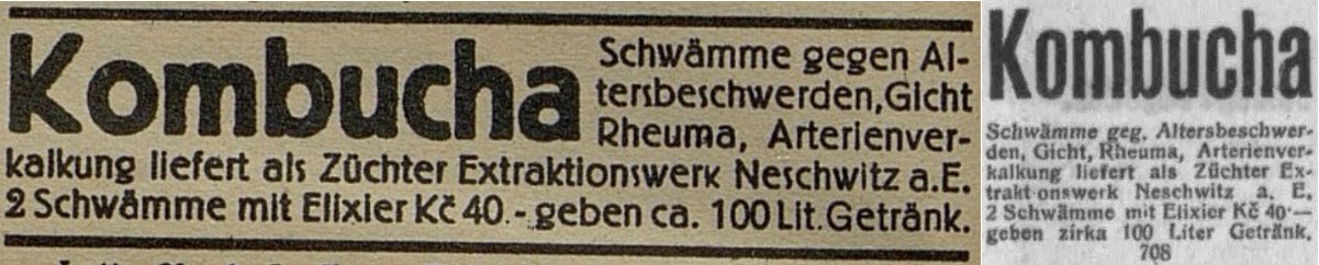 27_Frauenfreude - Maedchenglueck_1928_Nr104_p18_Pilsner Tagblatt_1928_04_08_Nr099_p5_Versandgeschaeft_Kombucha_Teeschwamm_Neschwitz