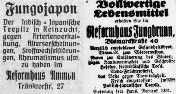 30_Ingolstaedter Anzeiger_1929_07_30_Nr172_p6_Remscheider General-Anzeiger_1929_06_20_Nr143_p12_Kombucha_Teepilz_Fungojapon_Reformhaus