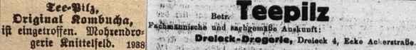 31_Murtaler Zeitung_1929_04_20_Nr16_p12_Bonner Zeitung_1930_02_16_Nr046_p3_Teepilz_Kombucha_Drogerie