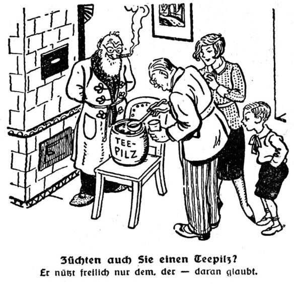 34_Frankenberger Tageblatt_1931_07_02_Nr151_p6_Kombucha_Teepilz_Zubereitung