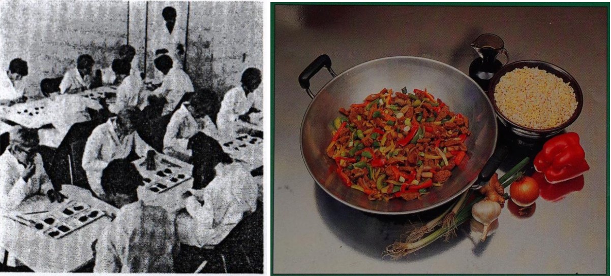 17_Der Verbraucher_23_1969_Nr07_p29_Bates_1991_p01_Ersatzmittel_Fleischersatz_Soja_Produkttest_GEG_Hamburg_Test_TVP_Speise