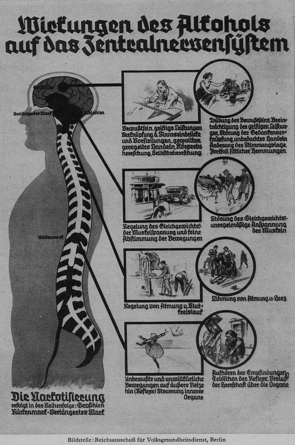 18_Ludorff_1942_p293_Physiologie_Schaubild_Volksgesundheitsdienst_Alkohol_Trunkenheit